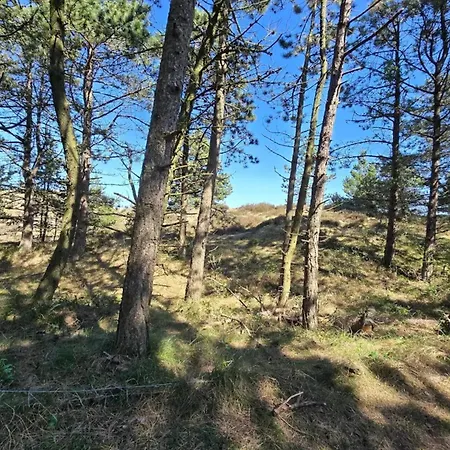 度假居 8 Person In Romo Kongsmark